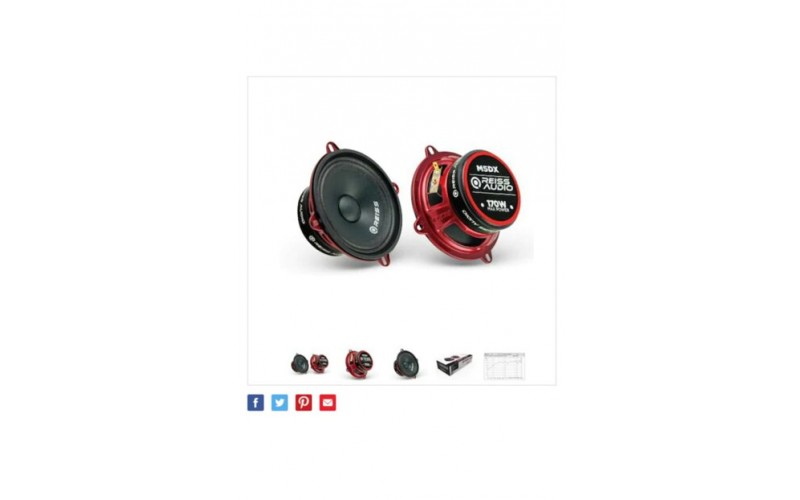 Reiss Audio RS-M5DX 170 Watt Max Power 13CM Oto Midrange